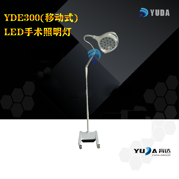 YDE 300（移动式)